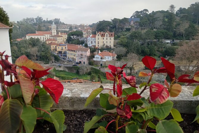 Private Transfer to Cascais or Sintra - Why Choose a Private Transfer Over Other Options?