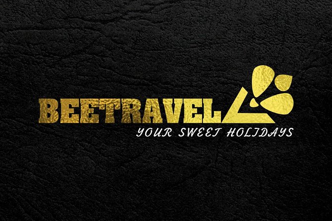 Private transfers between Faro and Carvoeiro - Vehicle Choices for Different Group Sizes