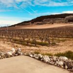 Private Transportation to Ribera del Duero by Minivan - What’s Included in the Price