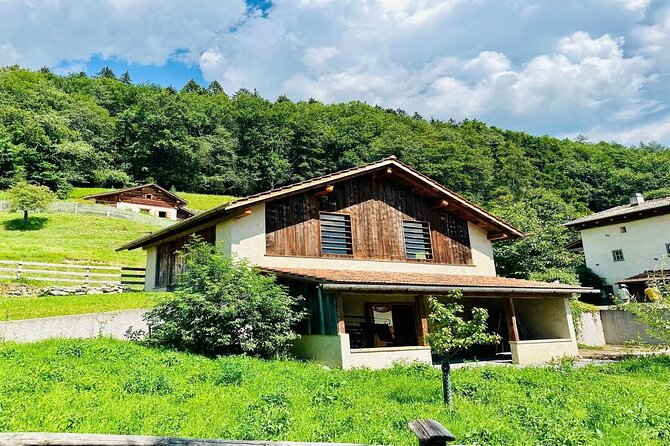 Private Trip to Heidi World Family Day from Zurich - Ascending to Pardiel via Gondola for the Heidi Trail