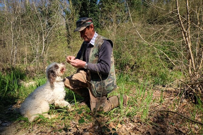 Private Truffle Hunt in Tuscany - Transportation and Logistics
