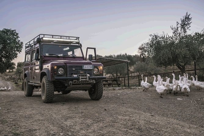 Private Truffle Hunting in Chianti from Florence - Savoring a 3-Course Truffle Lunch with Wine