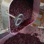 Private Vineyard Visit: Wine Tasting, Local Delicacies & Ceramics - Visiting a Local Vineyard with a Sommelier Guide