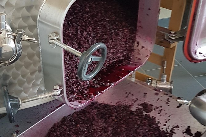 Private Vineyard Visit: Wine Tasting, Local Delicacies & Ceramics - Visiting a Local Vineyard with a Sommelier Guide