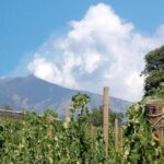Private visit to the cellars of Etna with wine tasting - Visiting the Cellars of Etna: From the Owner’s Welcome to the Winemaking Secrets