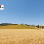 Private Vulture Wine Tour from MATERA with sommelier - Visiting Cantine Re Manfredi for a Classic Vulture Experience