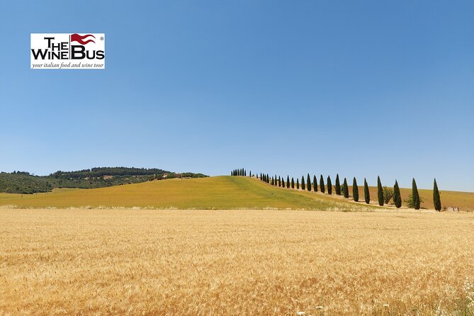 Private Vulture Wine Tour from MATERA with sommelier - Visiting Cantine Re Manfredi for a Classic Vulture Experience