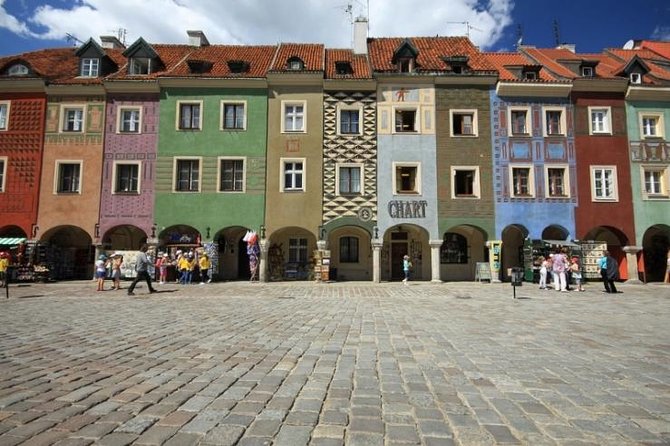 Private walking city tour in Poznan - Starting at Adam Mickiewicz Square with a Warm Welcome