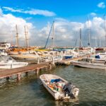 Private Walking Tour of Paphos - The House of Dionysus: A Masterpiece of Roman Mosaics