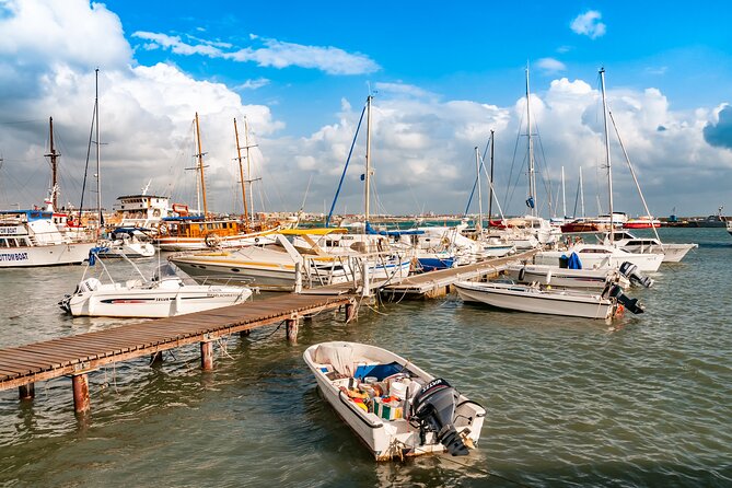 Private Walking Tour of Paphos - The House of Dionysus: A Masterpiece of Roman Mosaics