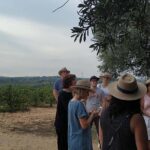 Private Wine & Cava Tasting Tour In Penedes with hotel pick up - First Stop: Vineyards and Romanesque Church in Avinyonet del Penedes