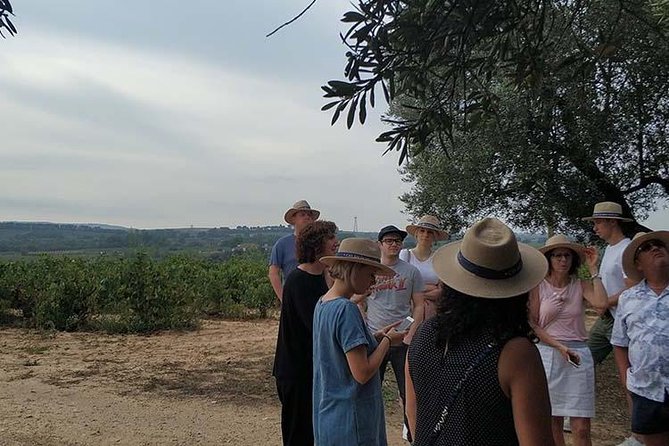 Private Wine & Cava Tasting Tour In Penedes with hotel pick up - First Stop: Vineyards and Romanesque Church in Avinyonet del Penedes