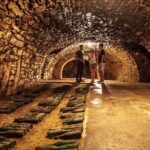 Private wine, food & heritage tour from Prague to Bohemia - Visiting the Renaissance Château and Traditional Wine Cellar