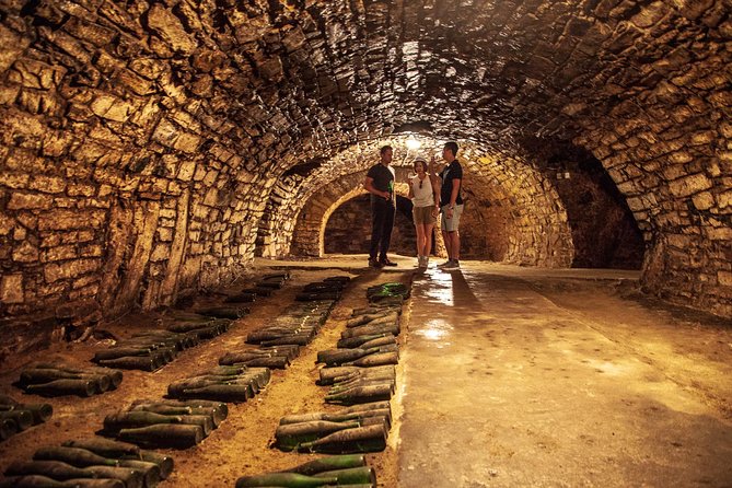 Private wine, food & heritage tour from Prague to Bohemia - Visiting the Renaissance Château and Traditional Wine Cellar