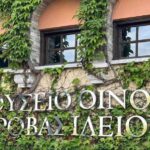 Private Wine & Museum Tour at Gerovassiliou Winery - Scenic Transfer from Thessaloniki to Epanomi