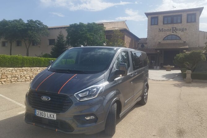 Private Wine Tasting And Visit Tour in Ribera Duero - Departure and Logistics: Starting at 8:00 am from Madrid