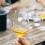 Private Wine Tasting Experience in Ljubljana - Discover Slovenia’s Indigenous Grape Varieties