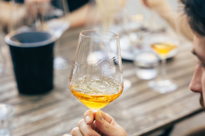 Private Wine Tasting Experience in Ljubljana - Discover Slovenia’s Indigenous Grape Varieties