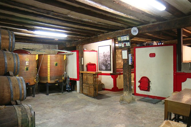 Private Wine Tasting in San Vicente de la Sonsierra - Exploring San Vicente de la Sonsierra’s Streets and Castle