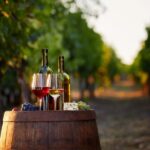 Private Wine Tasting Tour in Munich with a Wine Expert - Munich’s Wine Scene Beyond Beer