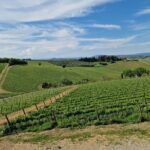 Private Wine Tour best of Chianti Tuscany 6 hours Limo Service - Scenic Drive Along the Chianti Road