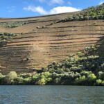 Private Wine Tour in the Douro Valley - Private wine tastings and lunch included - Scenic Douro River Cruise and Pinhão Village Stop