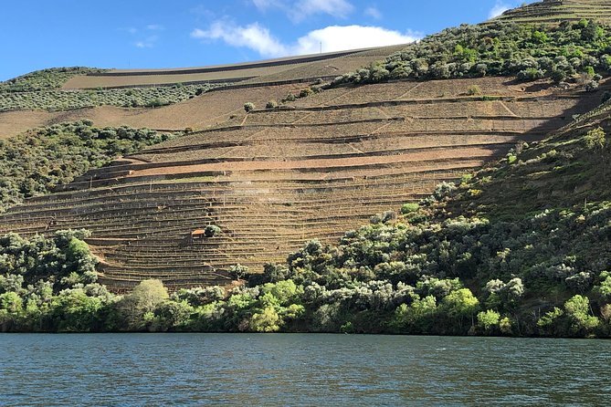Private Wine Tour in the Douro Valley - Private wine tastings and lunch included - Scenic Douro River Cruise and Pinhão Village Stop