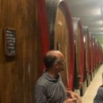 Private Wine Tour: Terraced Vineyards with Alpine view from Milan - Scenic Journey from Milan to Lake Como and Beyond