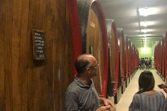 Private Wine Tour: Terraced Vineyards with Alpine view from Milan - Scenic Journey from Milan to Lake Como and Beyond