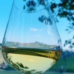 Private Wine Tour with The Whites of Langa Tasting - The Whites of Langa Tasting: Varieties and Pairings