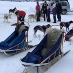 Private Zakopane and Thermal Pools Tour from Krakow - Starting Point: Convenient Pickup and Private Transport