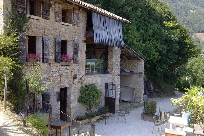 Prosecco experience. Wine tasting. Full day from Treviso - Pickup and Transportation from Treviso