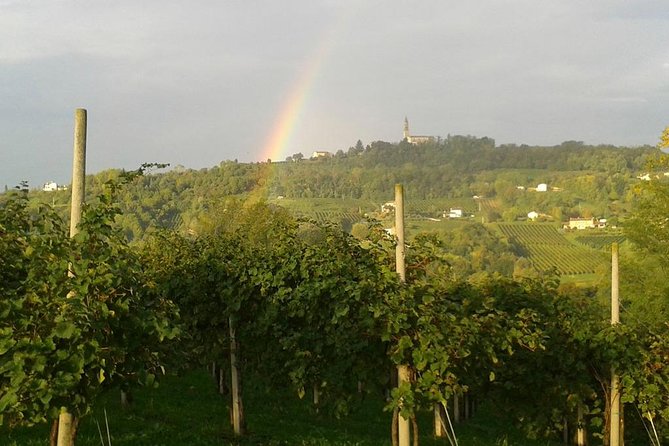 Prosecco Wine Tour. Full day from Venice - Discovering the Valdobbiadene Wine Region