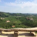 Prosecco - Wine tour & tasting - Full day in the Prosecco region - Departure from Venice’s Piazzale Roma