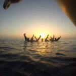 Protaras: Cape Grecko Single Dive for Qualified Divers - Key Points