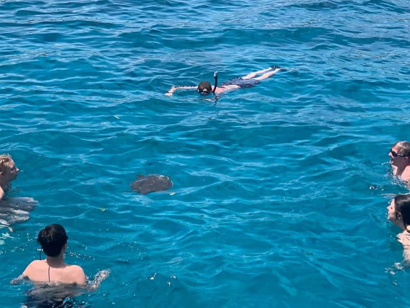 Protaras: Harmony | Luxury boat, Value Turtle Adventure - A Scenic Departure from Protaras Pier on the St Georgios