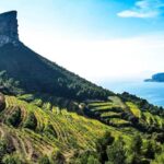 Provence private tour: Aix-en-Provence, (Marseille) & Cassis - Starting from the French Riviera: Convenient Pickup from Nice or Cannes