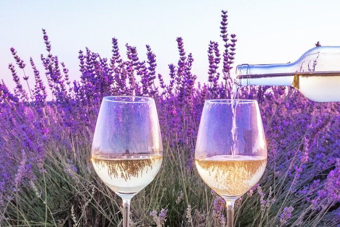 Provence small group half-day wine tour from Aix - Second Winery: A Different Perspective