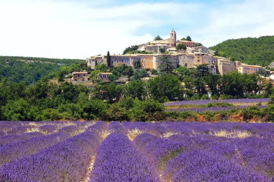 Provence: Valensole Lavender Fields Guided Full-Day Tour - Discovering the Valensole Plateau and Its Endless Lavender Rows
