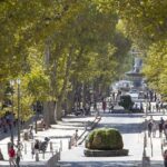 Provence, Vineyards and Lavender Fields Private Day Trip - Visiting the Village of Saint-Maximin-la-Sainte-Baume