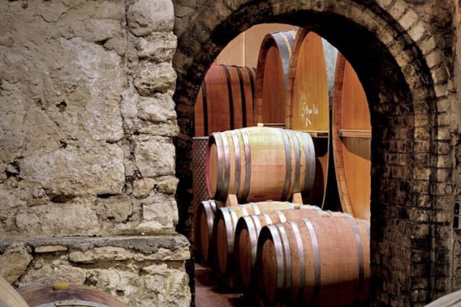 provence wine tasting - From the Château de Saint-Martin to the Château Sainte Roseline