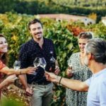 Provence Wine Tour - Private Tour from Nice - Exploring the Château and Its Historic Cellars