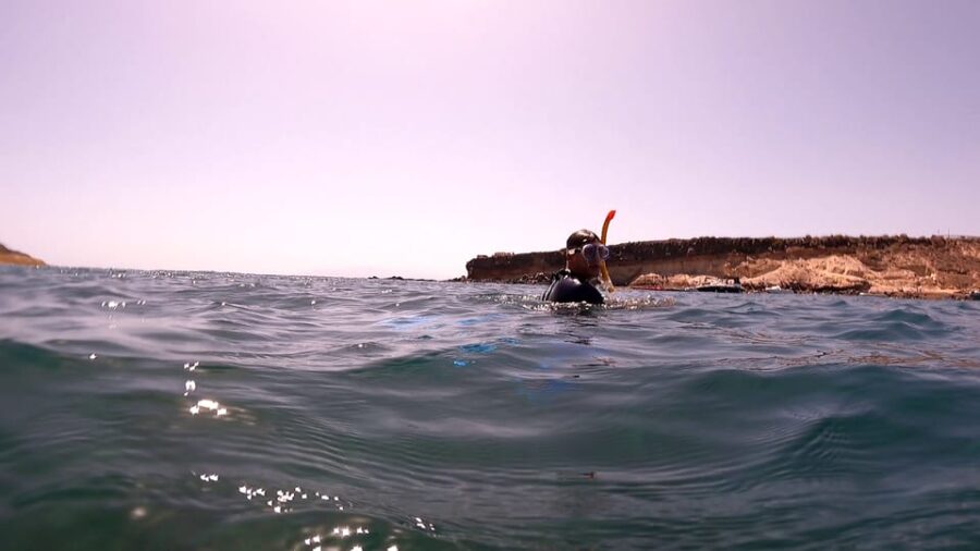 Puerto Colon: Snorkeling boat guided tour - Departure from Puerto Colón to marine exploration