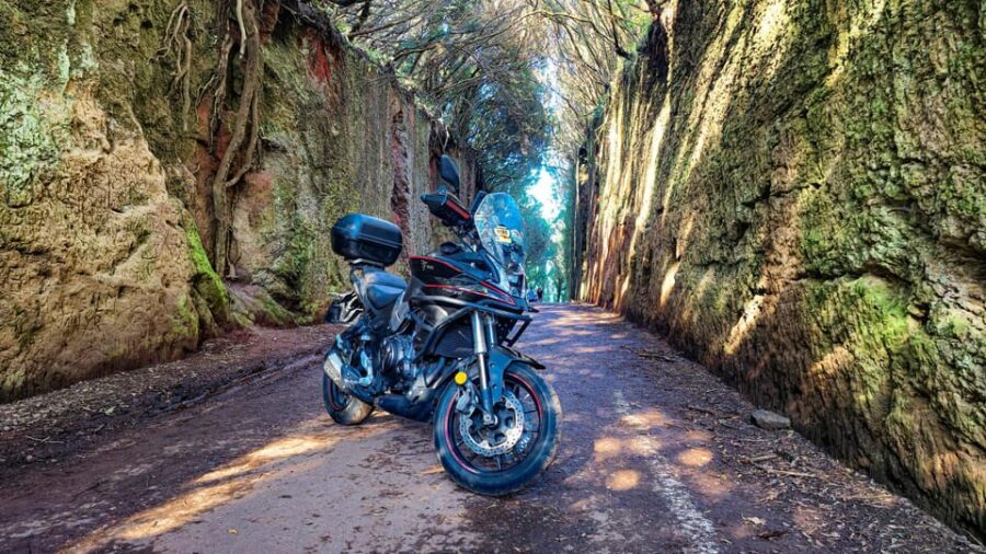 Puerto de la Cruz Motorbike tour through Teide National Park - Starting Point in Puerto de la Cruz