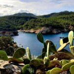Puerto de San Miguel: Can Marçá Cave Guided Tour with Entry - Inside the Can Marçá Cave: What You See and Hear