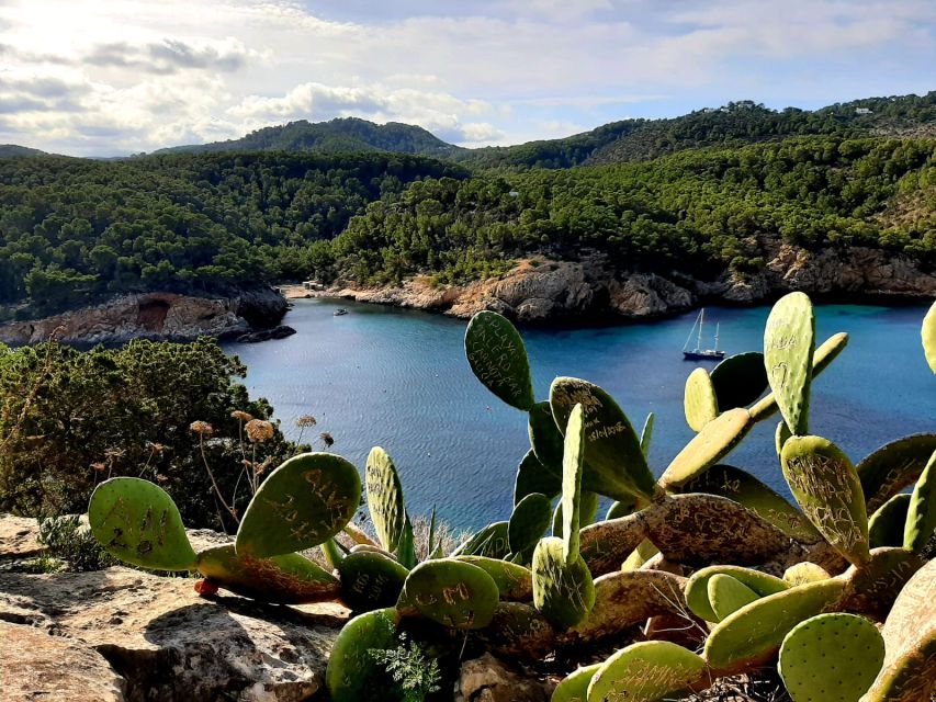 Puerto de San Miguel: Can Marçá Cave Guided Tour with Entry - Inside the Can Marçá Cave: What You See and Hear