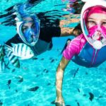 Puerto del Carmen: Dolphin-Watching Speedboat Tour with Swim - Starting Point at Lanzarote Sea Tours