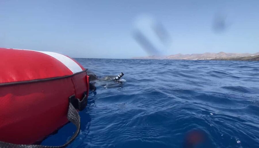 Puerto del Carmen: Freediving Try Dive in Pool or Open Water - Experience the Freediving Pool Session at Centro deportivo Fartiones