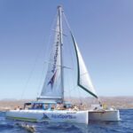 Puerto Rico: 4-Hour Catamaran Excursion in the South - Scenic Route and Sea Caves of Gran Canaria
