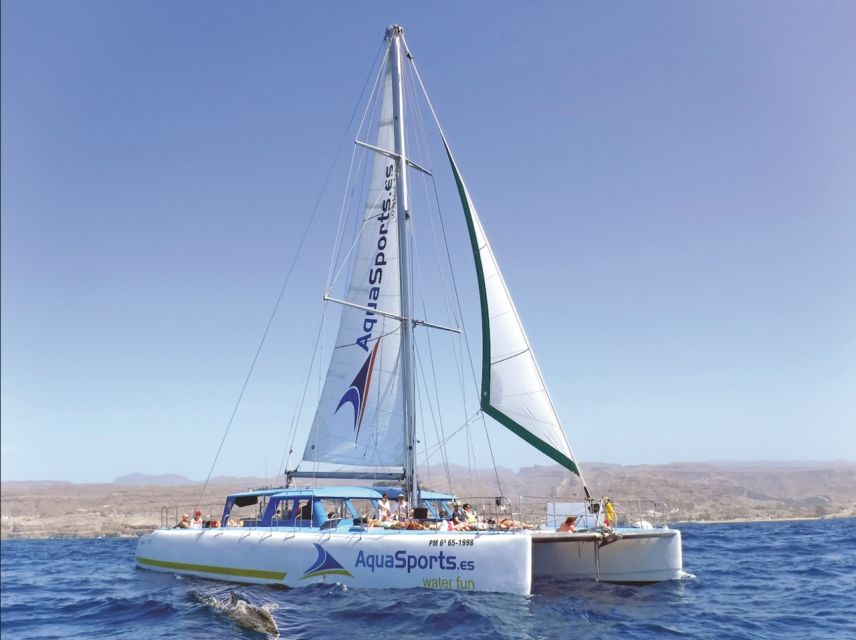 Puerto Rico: 4-Hour Catamaran Excursion in the South - Scenic Route and Sea Caves of Gran Canaria